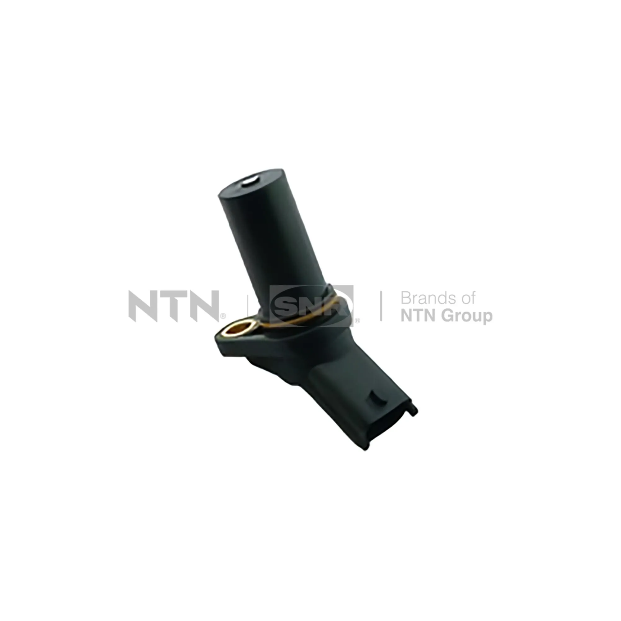 CKP15905 SNR