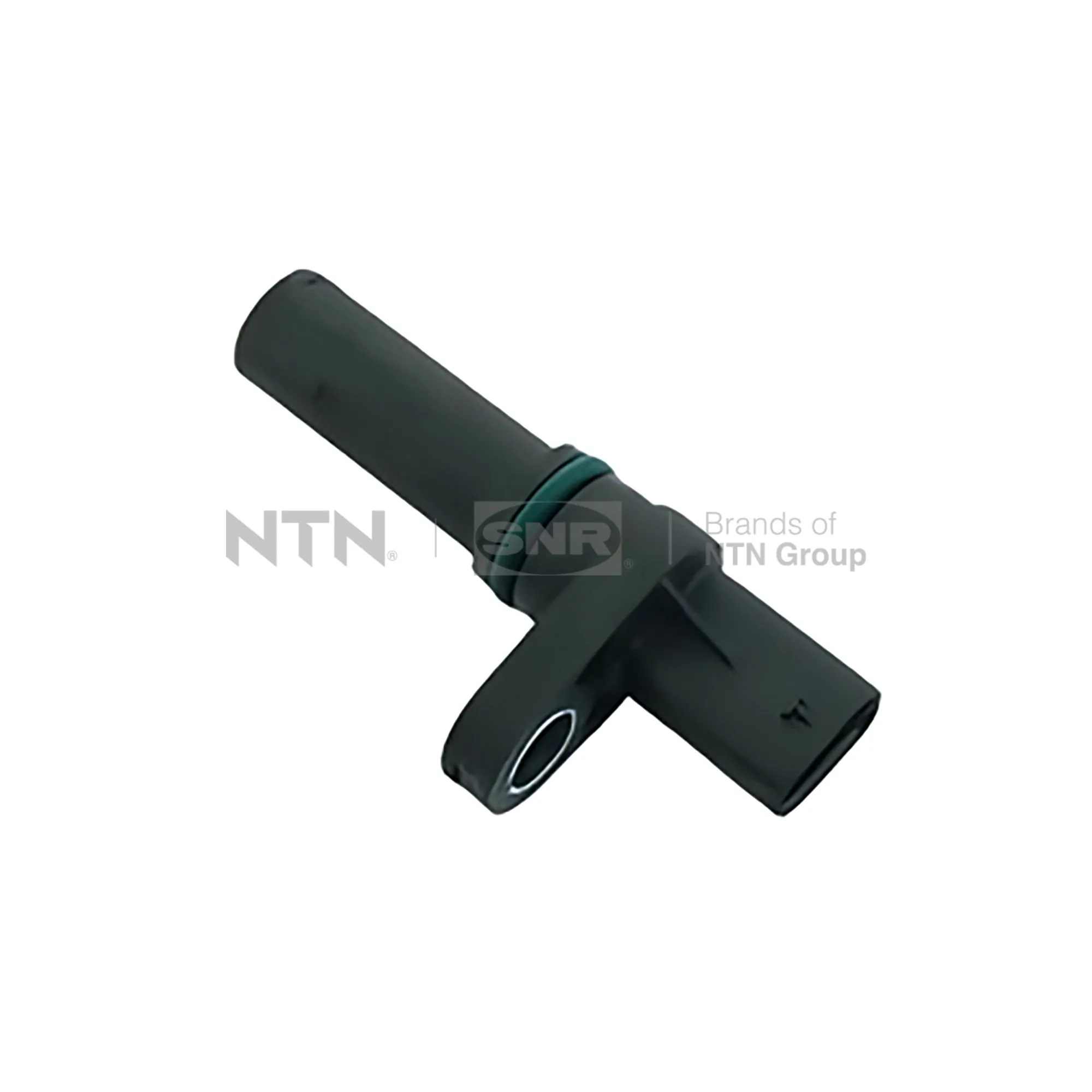 CKP15206 SNR