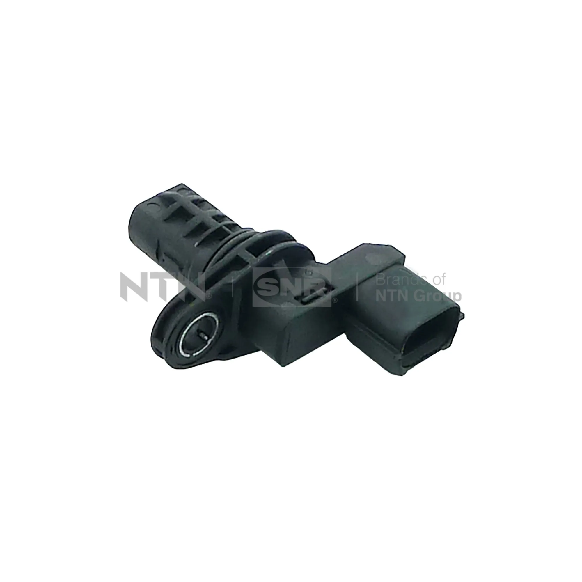 CMP18904 SNR