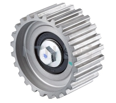 Rodillo intermedio de correa dentada Fiat Ducato 3 250