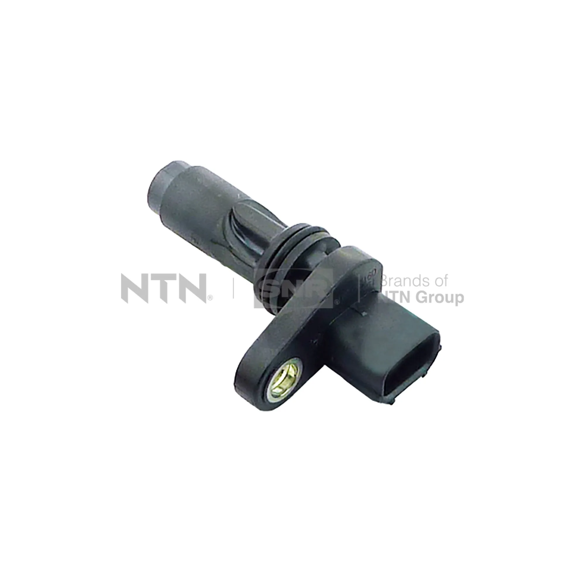 CMP17403 SNR
