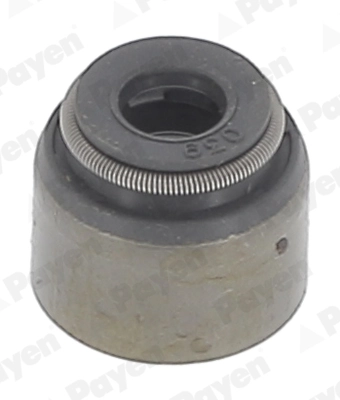 PA6055 Payen