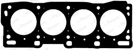 AG8190 Payen