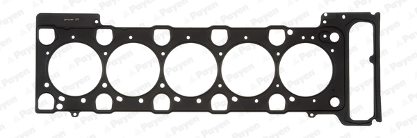 AB5910 Payen