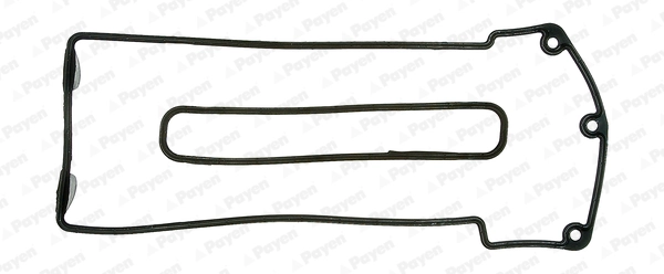 HM5067 Payen