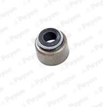 PB356 Payen