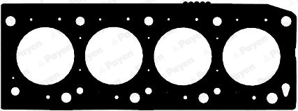 AB5330 Payen