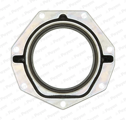 4862154 Iveco Anillo retén cigüeñal