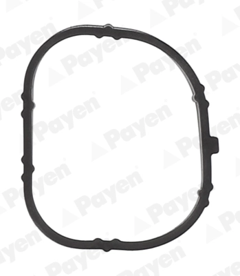para Renault Scenic III (JZ0, JZ1)