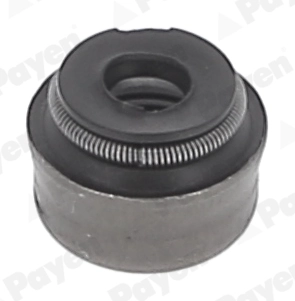 PA5025 Payen