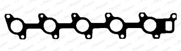 JD5798 Payen