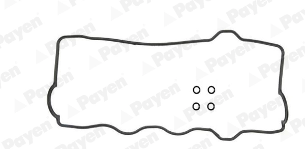 HM5276 Payen