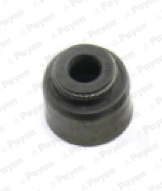 PA971 Payen