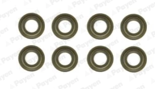 HR659 Payen