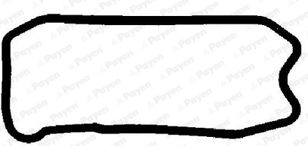 JH5077 Payen