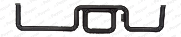 JR5031 Payen