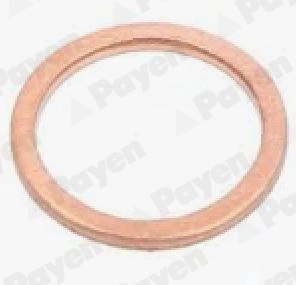 PA335 Payen