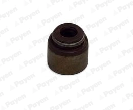 PA874 Payen