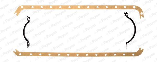 HC479 Payen