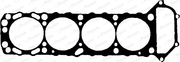 BS770 Payen