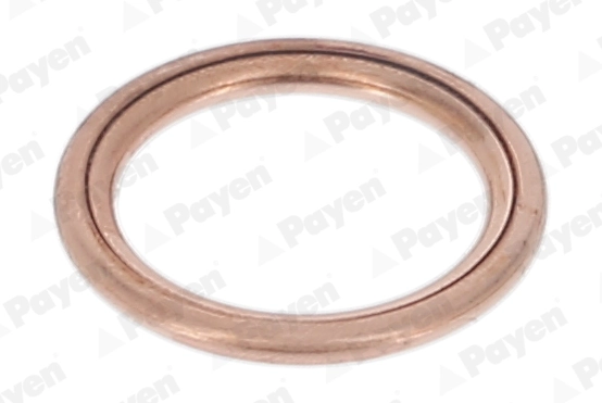 PA349 Payen
