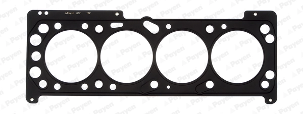 AB5540 Payen