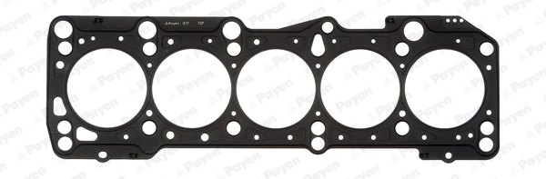 AF5330 Payen