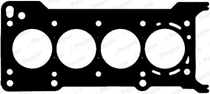 AG8170 Payen
