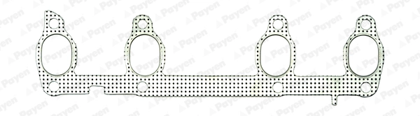 JD606 Payen