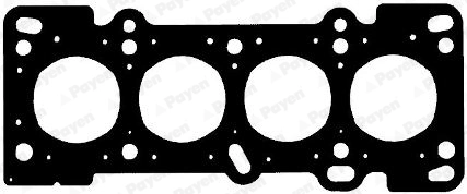 AG9080 Payen