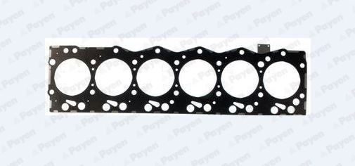 AG9520 Payen