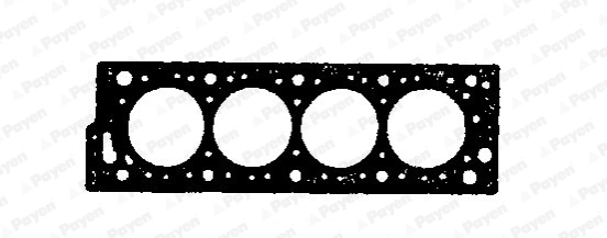BR510 Payen