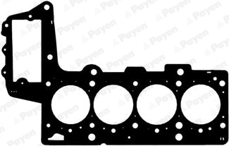 AC5431 Payen