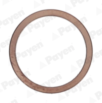 KG5148 Payen