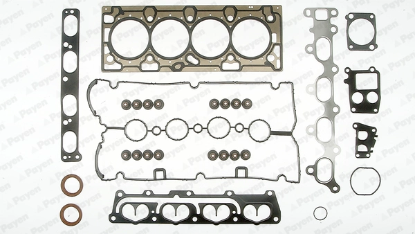 CE5930 Payen