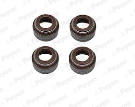 HR5085 Payen
