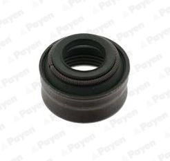 PA6101 Payen