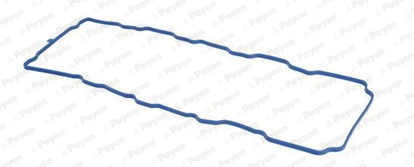 JM5318 Payen