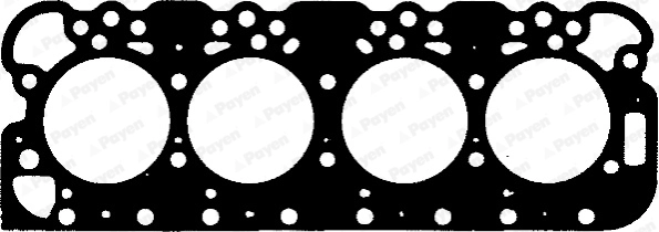 BP890 Payen