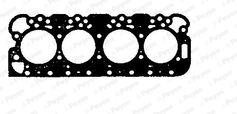 BP900 Payen