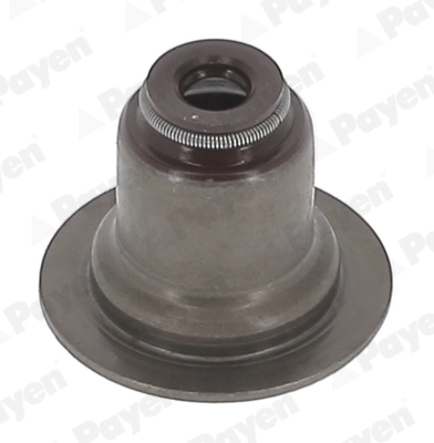 PA6117 Payen