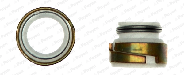 HR300 Payen