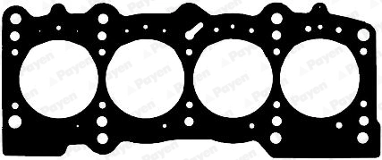 AG6220 Payen