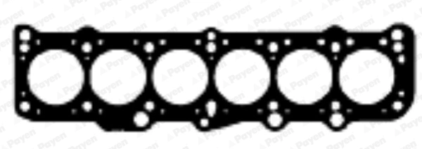 BW700 Payen
