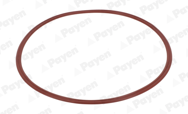 JM7207 Payen