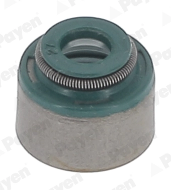 HR5151 Payen