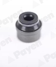 PA6133 Payen