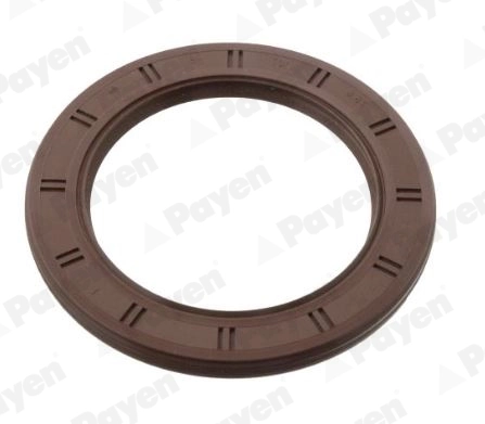 NA5088 Payen