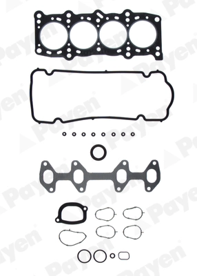 DP289 Payen