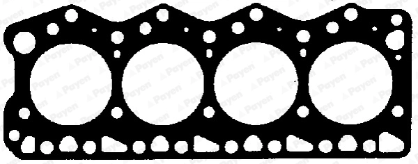 BX411 Payen